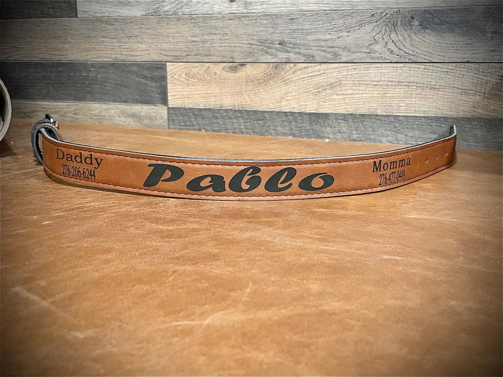 brown dog collar 2
